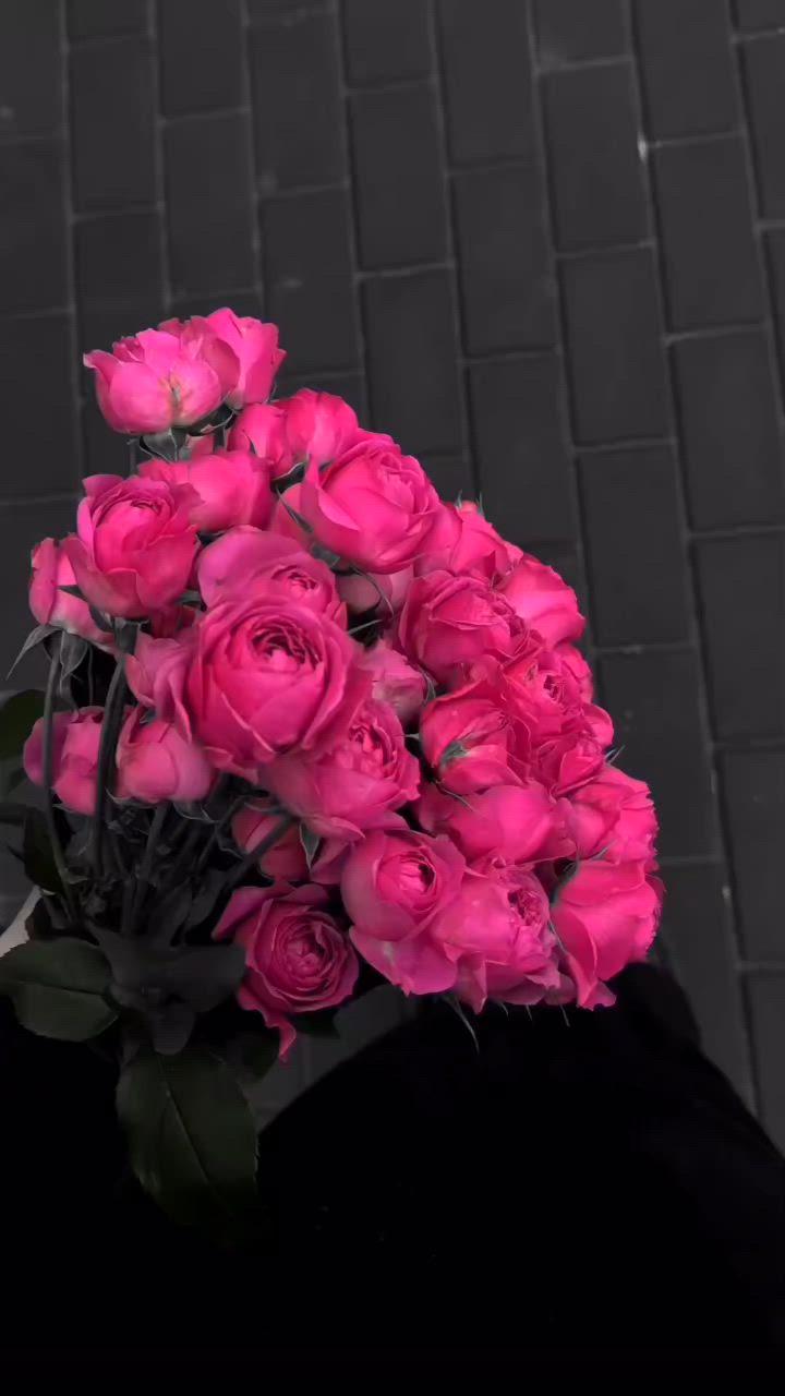 Sunset Serenade: Warm Hues of Twilight Flowers